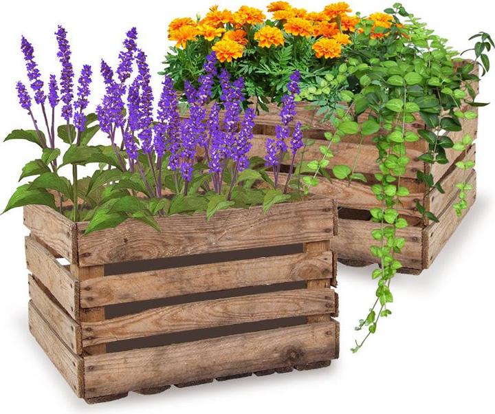 Image du produit Natura Punto Lot de 4 caisses en bois décoratives (50.5 x 41 x 31.5 cm)