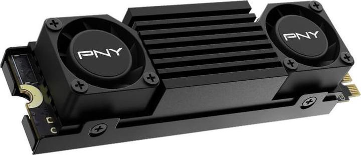 Actual product image PNY CS3150 (2000 GB, M.2 2280)
