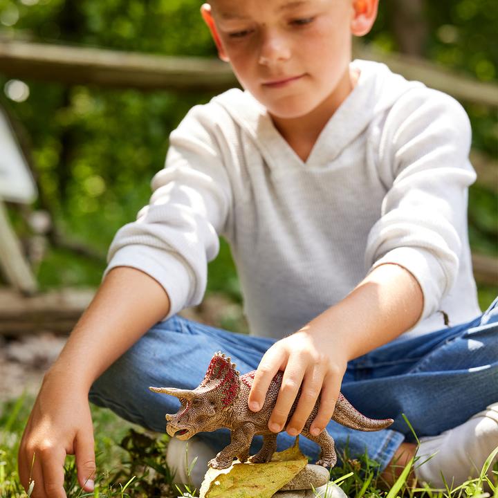 Produktbild Schleich Triceratops