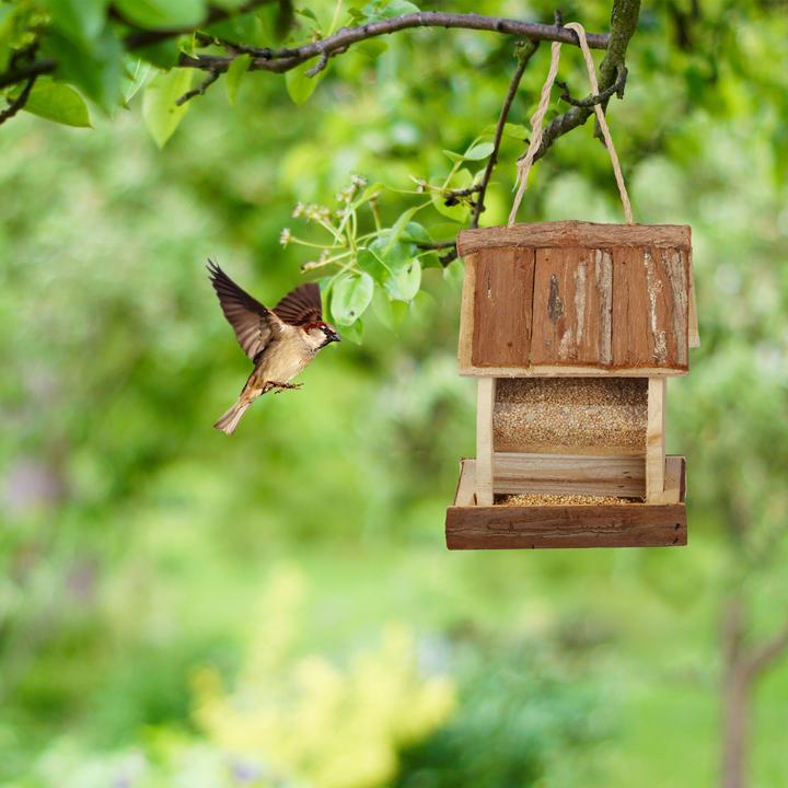 Image du produit Relaxdays Mangeoire-pour-oiseaux