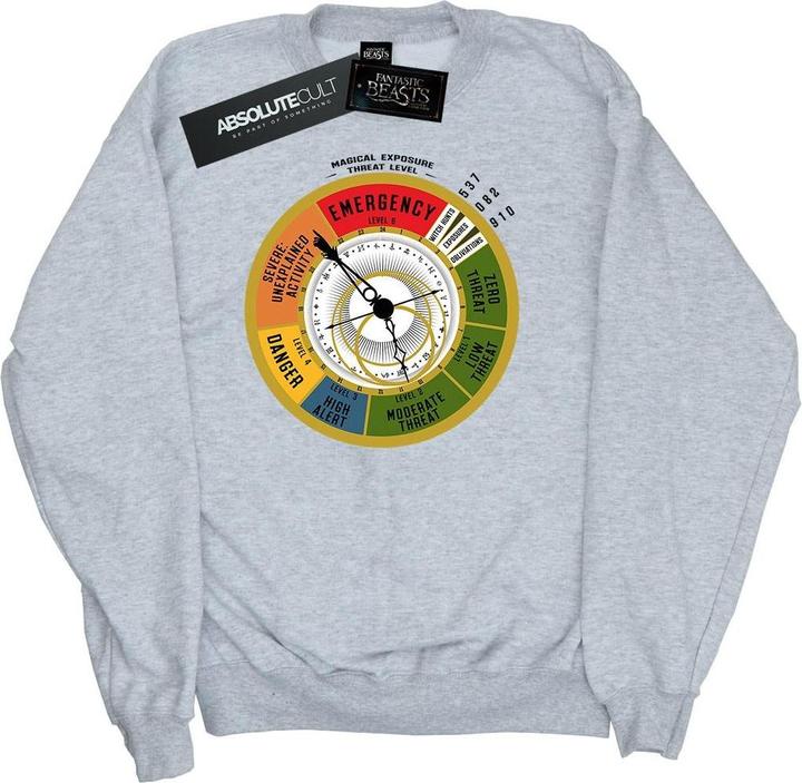 Produktbild Fantastic Beasts Threat Level Sweatshirt Jungen (140, 146)