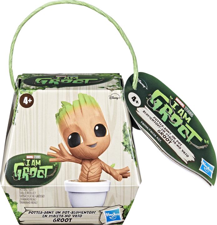 Image du produit Hasbro Les Gardiens de la Galaxie Groot assorti