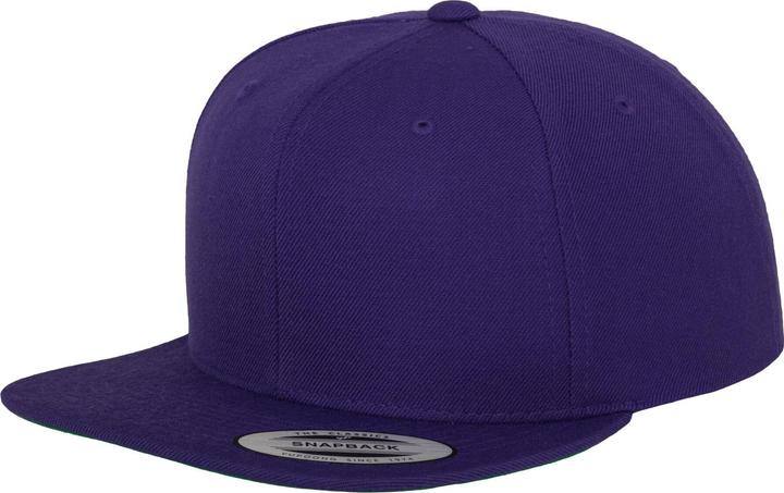 Flexfit Snapback (One Size)
