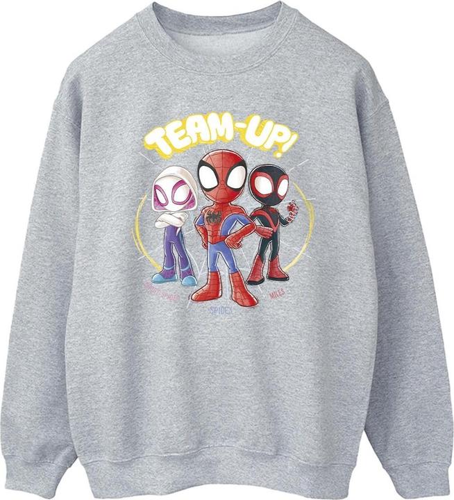 Produktbild Spidey And His Amazing Friends Sketch Sweatshirt (5XL)