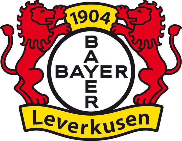Actual product image Bayer 04 Leverkusen logotype (20 x 25 cm, 40 x 51 cm)