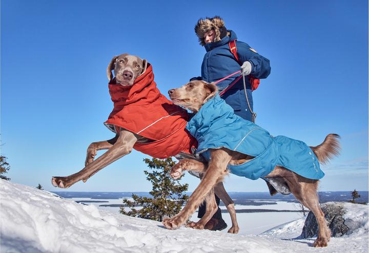 Immagine prodotto Hurtta Scaldino estremo V3 Eco Blue, 30 cm (30, Cappotto per cani)