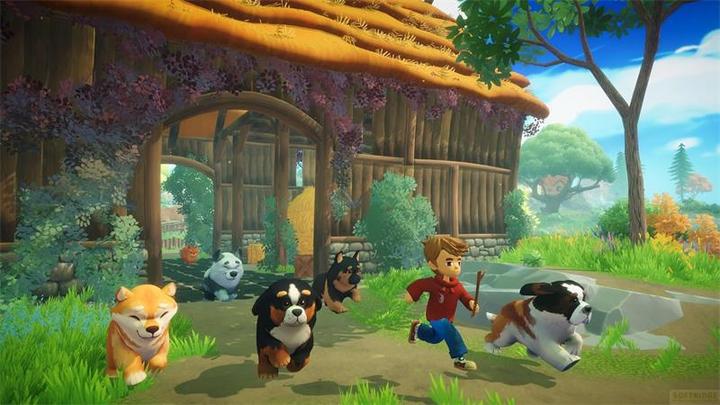 Immagine prodotto Galaxy Games La valle dei sogni SWITCH (Switch, Switch Lite, Switch OLED, DE)