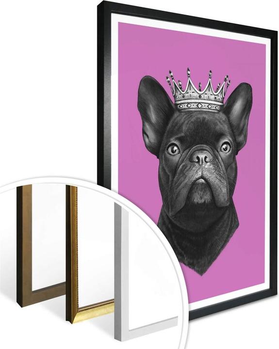 Actual product image Trenddeko King French Bulldog pink (50 x 60 cm)