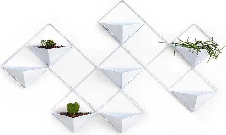 Immagine prodotto La Redoute Interieurs Ikebana (11 cm)