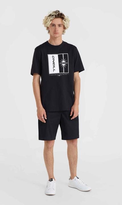 Image du produit O'Neill Essentials Chino Shorts (31)