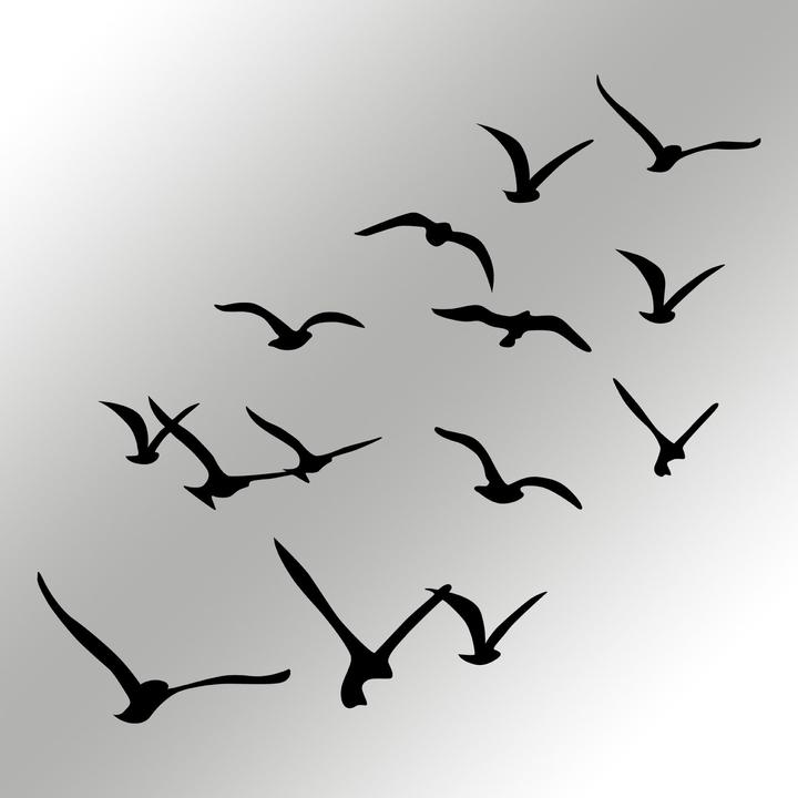 Produktbild Wallxpert Migration