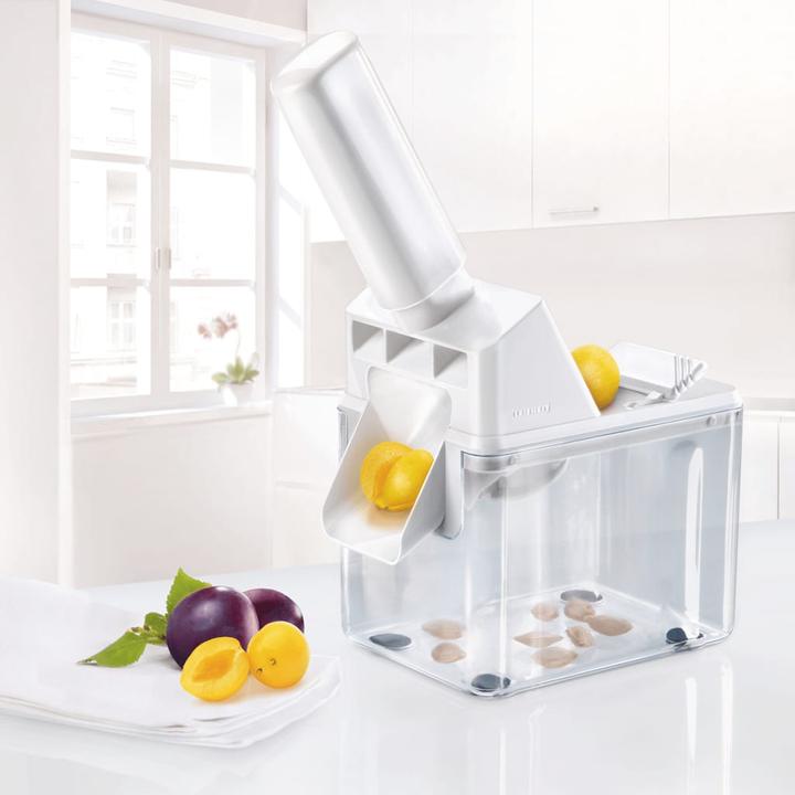 Image du produit Leifheit Fosse aux prunes
