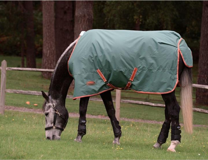Image du produit Weatherbeeta Comfitec Tyro 200g (140 cm)