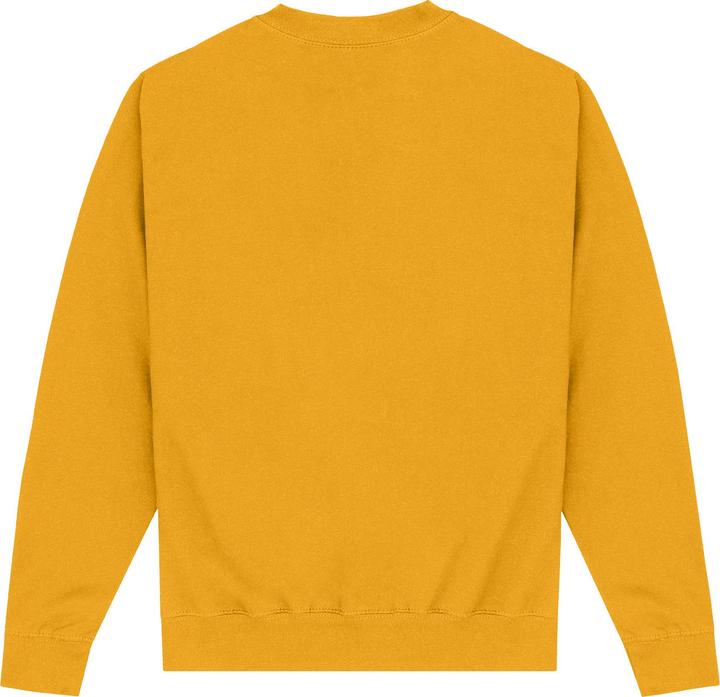 Produktbild Black Adam Sweatshirt (L)