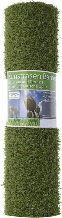 Image du produit Fs-Star Tapis de gazon (1 x, 100 x 200 cm)
