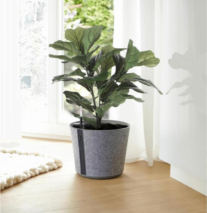 Produktbild Poétic Pflanztopf 'Casa Sleeve' (36.70 cm)