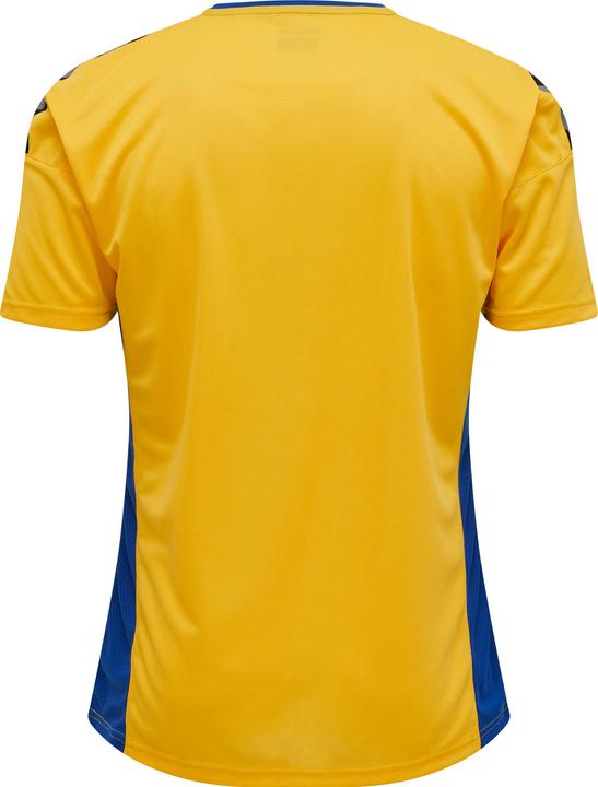 Actual product image hummel Authentic Poly Jersey S/S (M)