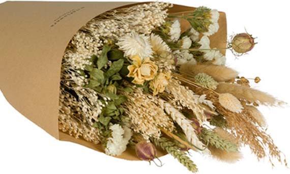 Immagine prodotto Floramall Daisy (Fiori secchi)