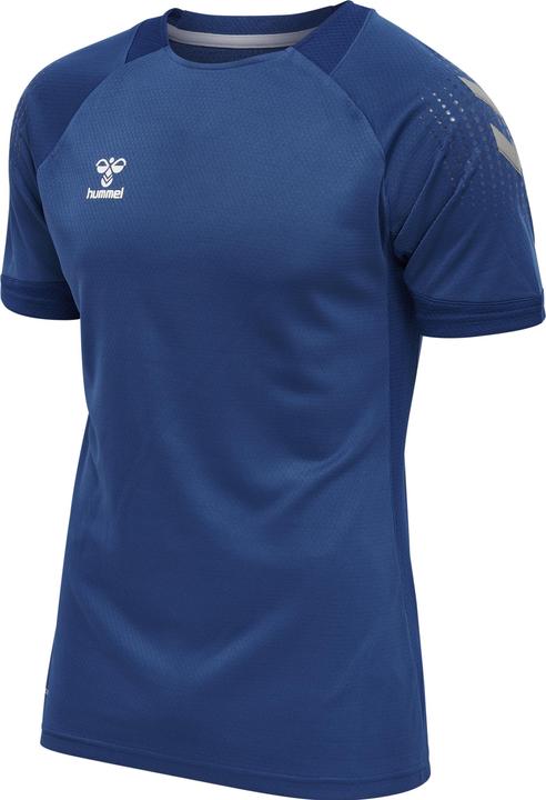 Vrai bleu