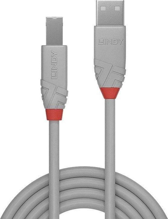 Image du produit Lindy USB/A-USB/B M-M (3 m, USB 2.0)