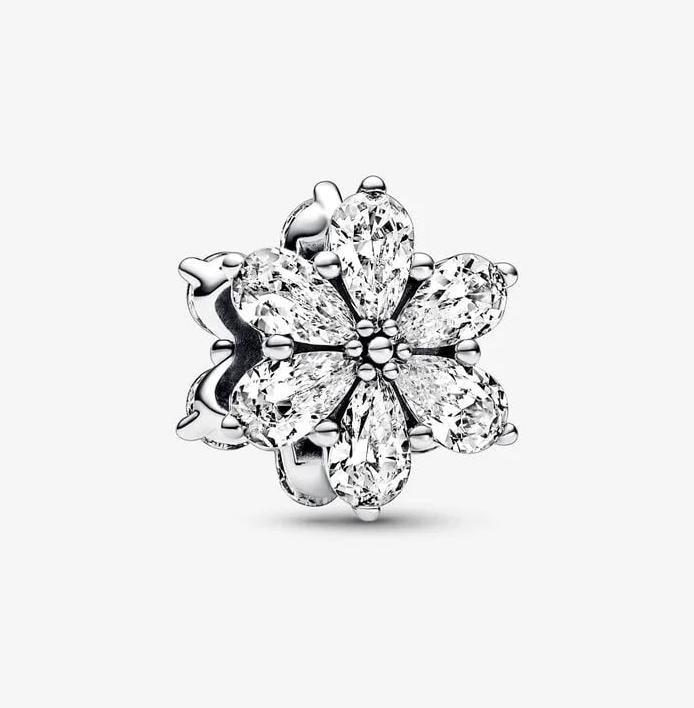 Image du produit Pandora Timeless (Argent 925)