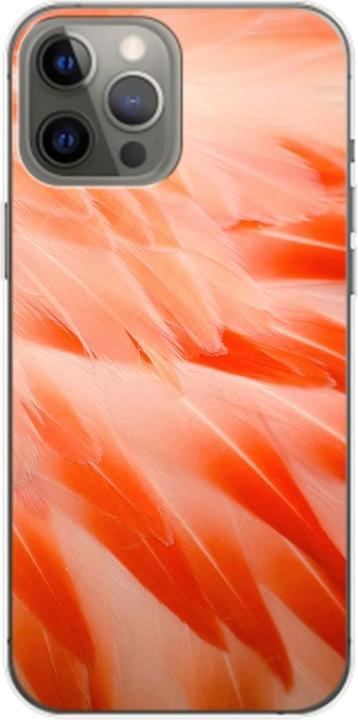 Flamingo Federn