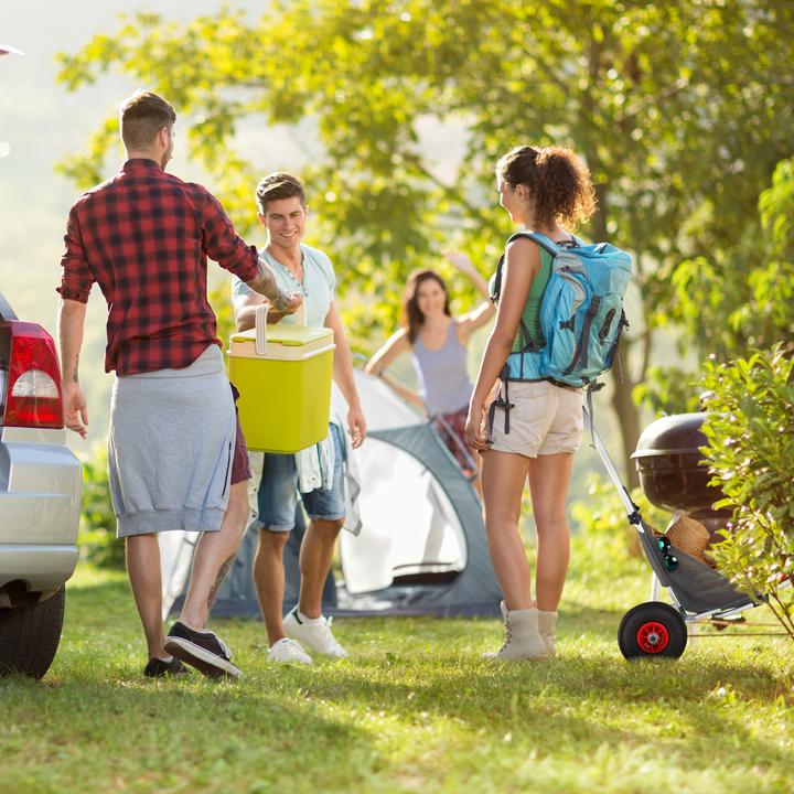 Produktbild Relaxdays Strandwagen (50 kg)