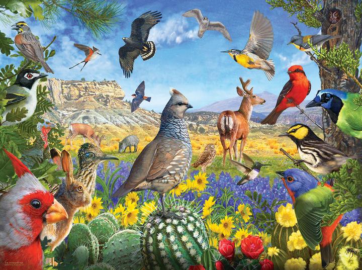 Image du produit Sunsout Puzzle 1000 pièces R. Christopher Vest - Texas Birds (1000 pièces)