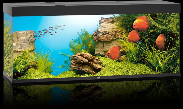 Actual product image Juwel Aquarium Rio (450 l)
