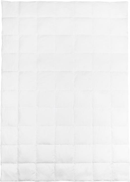 Actual product image Aspero Sommer Daunendecke Ystad (310 g, 155 x 220 cm)
