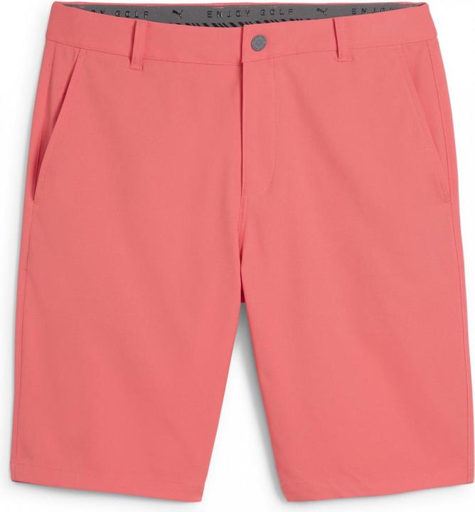 Actual product image Puma Dealer Short 10" (28)