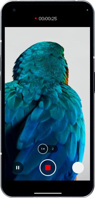Actual product image Nothing Phone (1) (12GB) (256 GB, White, 6.55", Dual SIM, 50 Mpx, 5G)