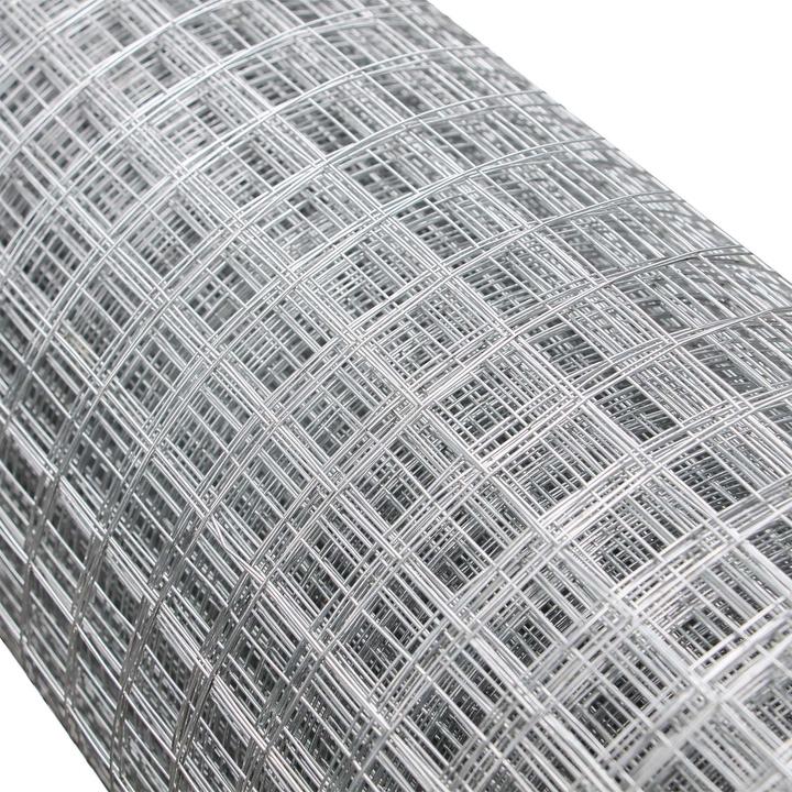 Image du produit Wiltec Clôture grillagée 1mx10m 0,75mm 19x19mm Grillage métallique acier galvanisé Rouleau