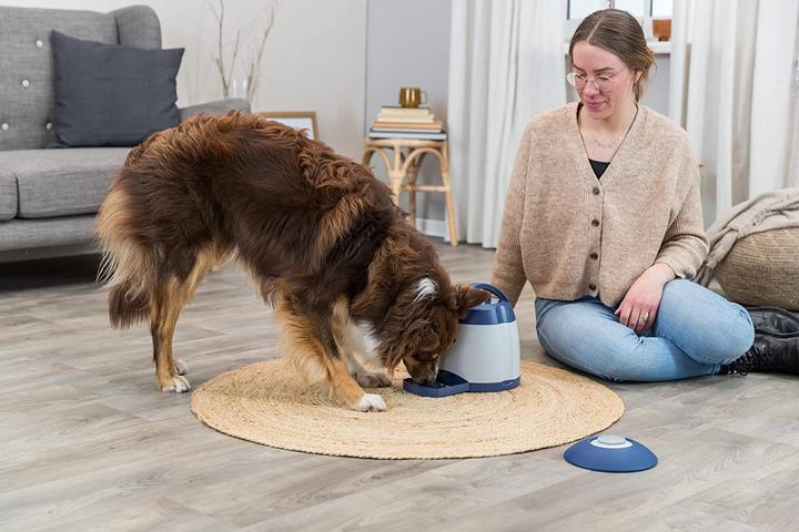 Produktbild Trixie Memory Trainer (Intelligenzspielzeug Hund)