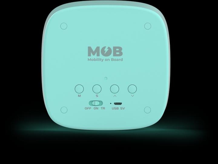 Actual product image Mobility on Board Billy