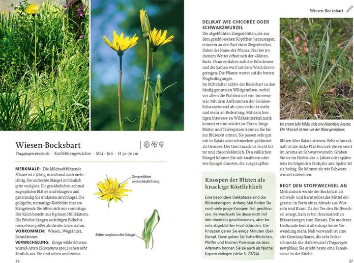 Image du produit Kosmos Unsere essbaren Wildpflanzen (Allemand, Rudi Beiser, 2022)