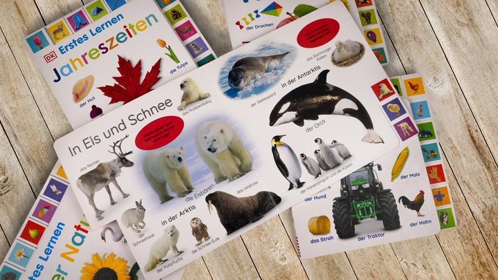 Produktbild Erstes Lernen. Fahrzeuge (Deutsch, DK Verlag - Kids, 2022)