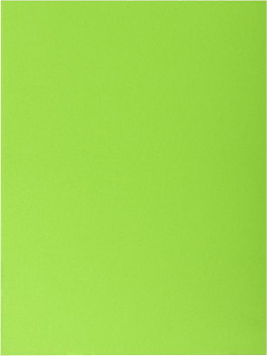 Produktbild Exacompta Sammelmappen - Aktendeckel (A4, 100 x)