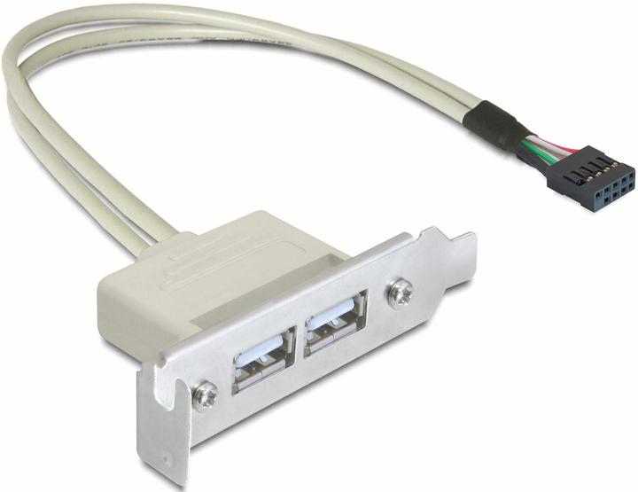 Immagine prodotto Delock staffa a basso profilo 2x USB 2.0 a intestazione (0.50 m, USB 2.0)