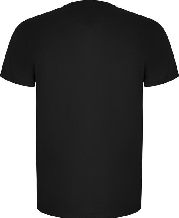 Actual product image Alpinia Mens Imola Short-Sleeved Sports T-Shirt (S)