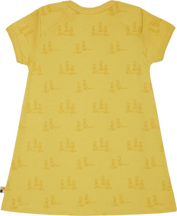 Actual product image loud + proud Dress print (122)