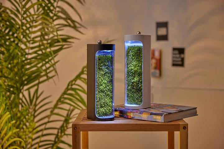 Produktbild Mosslab Air Humidifier Moss weiss