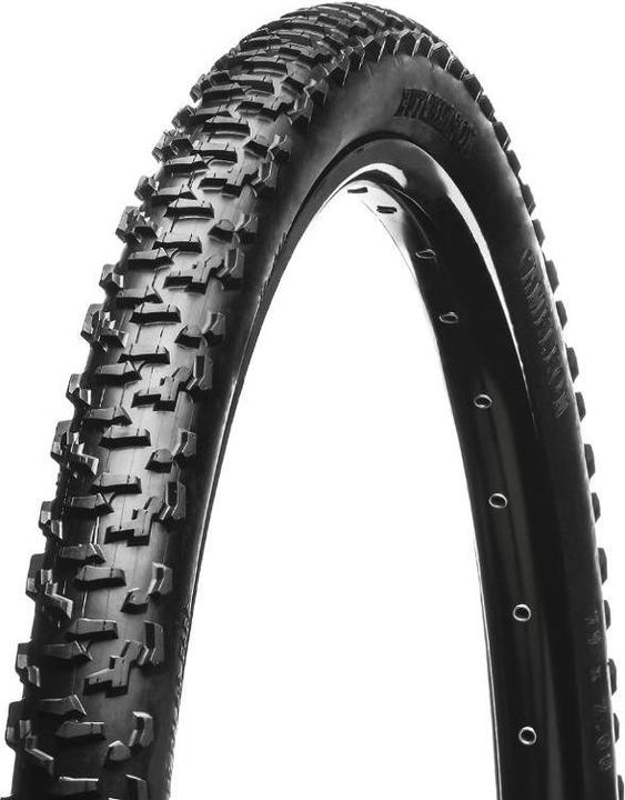 Copertone bici