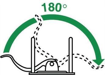 Actual product image Leitz WOW 180° Active (A4, 80 mm, 1 Piece)