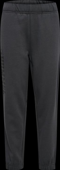 Produktbild hummel hmlALVIN PANTS (146)