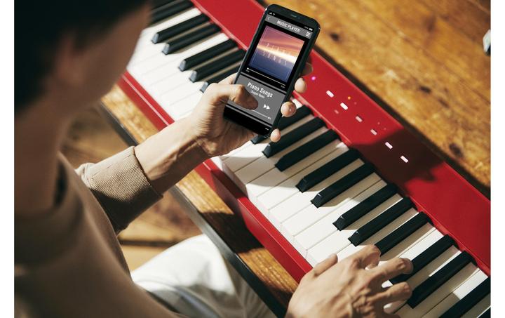 Immagine prodotto Casio Privia PX-S1100RD (88 Chiavi)
