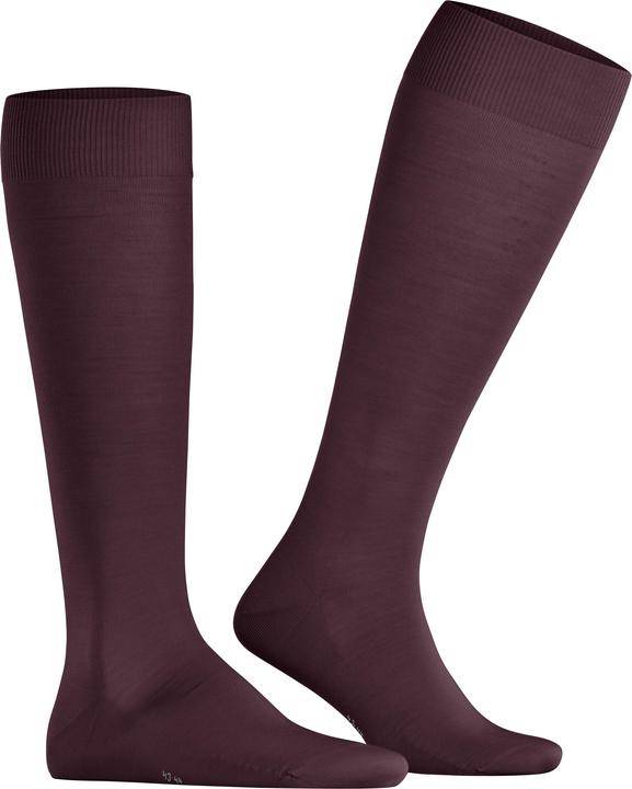 Actual product image Falke Clima Wool (43 - 44)