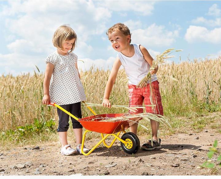 Actual product image Rolly Toys Metal wheelbarrow
