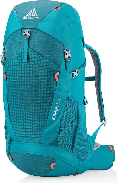 Actual product image Gregory Icarus (30 l)