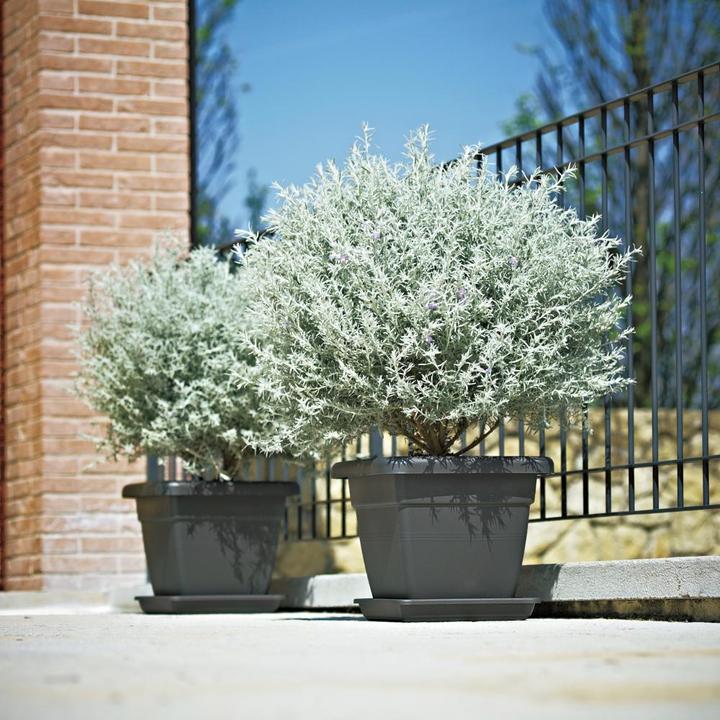 Image du produit Euro3plast Bacs à plantes (35 cm)